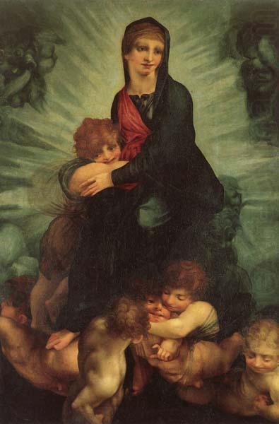 Madonna and Child, Rosso Fiorentino